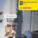 일월일상 일기! 결국 먹는일기면서...