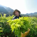 해오름농장 3 이미지