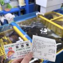 부산활어 | 부산 광안리 민락어민활어직판장 내돈내산 후기 광안리 회포장추천 유성호 추천해요 !