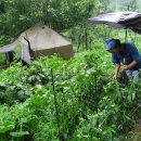 마땅농장 이미지