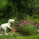 다산농원 이미지