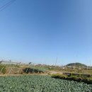 신도리-4 이미지