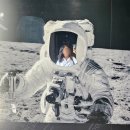 더문 | 라이트룸 서울 전시회 미디어아트 몰입형 전시 톰행크스 더 문 워커스 후기