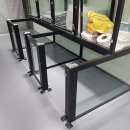 도그어게인 이미지