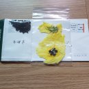 허*한 이미지