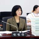 명품 벚꽃 길 이미지