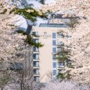 포레스트리솜 이미지