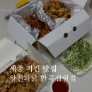 왕천파닭 | 세종 치킨 맛집 왕천파닭 반곡집현점 방문 픽업 후기