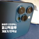 퍼시픽블루 이미지