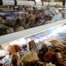 조개몽땅 이미지