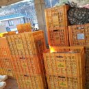 솔마당마을 이미지