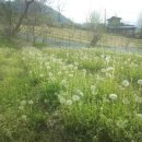 분저리녹색체험마을 이미지