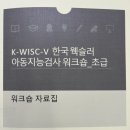 인싸이트학원 | [교육후기] K-WISC-V 한국 웩슬러 아동지능검사 워크숍 _ 초,중급 과정 (인싸이트)