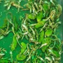 가마골 & 국대밥차 이미지