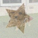 은빛동물병원 이미지