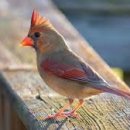 마두2동 행정복지센터 이미지