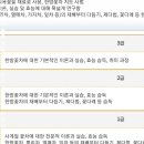 꽃차소믈리에자격증 이미지