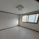 신기초등학교 앞 이미지