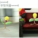 우리결혼정보 이미지