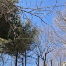 연세화랑의원 이미지