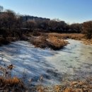 종합운동장사거리 이미지