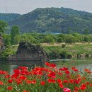 도동유교문화관1 네이버블로그