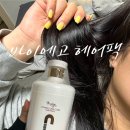 토마토헤어 | 극손상헤어팩 레미디코스메틱 바이에고 비타민C 원크리닉 후기