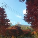 밤머리재홍단풍거리 이미지