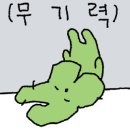 24시 봉담동물의료센터 이미지