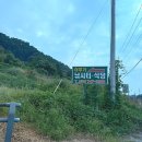 이무기낚시터 | 원주 놀거리 추천! 경치좋은 붕어낚시터 (이무기낚시터)