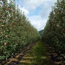 부동농장 이미지