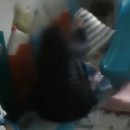 화성어린이집 이미지