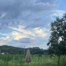 현북중학교 | [숙소] 강원도 양양 에어비앤비 ‘물든 밭’ 후기