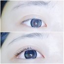 마벨디 이미지