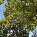 와타나(주) | 14-15일