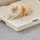 라이브펫 이미지