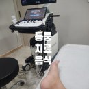 경동동물병원 | 통풍치료 주사 음식 운동