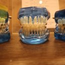 치아미치과의원 이미지