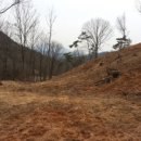 전라도농장 이미지