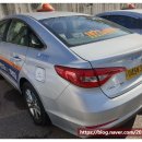 차앤리성형외과의원 이미지