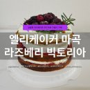 마곡나루역 2번출구 옆 | 마곡 케이크 맛집 엘리케이커 | 라즈베리 빅토리아 케이크 생일 케이크 추천