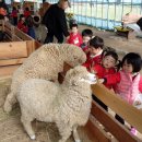 이플어린이집 이미지