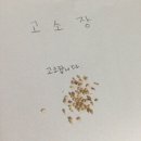 들깨삼계탕
