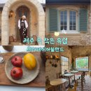 남원읍 공영주차장 | 제주 서귀포 남원읍 유럽 감성 카페 세러데이아일랜드(위치, 주차, 메뉴, 가격, 애견동반)