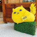강식당 이미지
