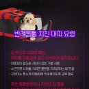 운정힐링동물병원 이미지