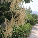 YB부동산공인중개사사무소 이미지