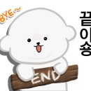 남산연합동물병원 이미지