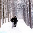 찐빵목장 이미지