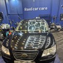 라엘카케어 이미지